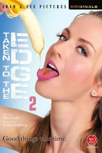 Póster de Taken to the Edge 2