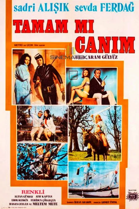 Póster de la película Tamam mı Canım