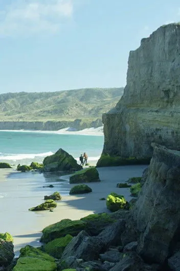 Portada de Tara, Messenger of Death