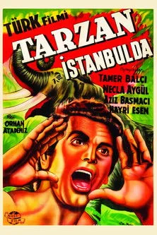 Póster de la película Tarzan İstanbul'da