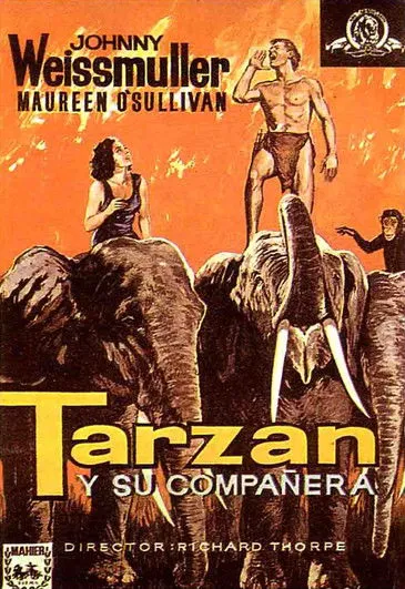 Póster de la película Tarzán y su compañera