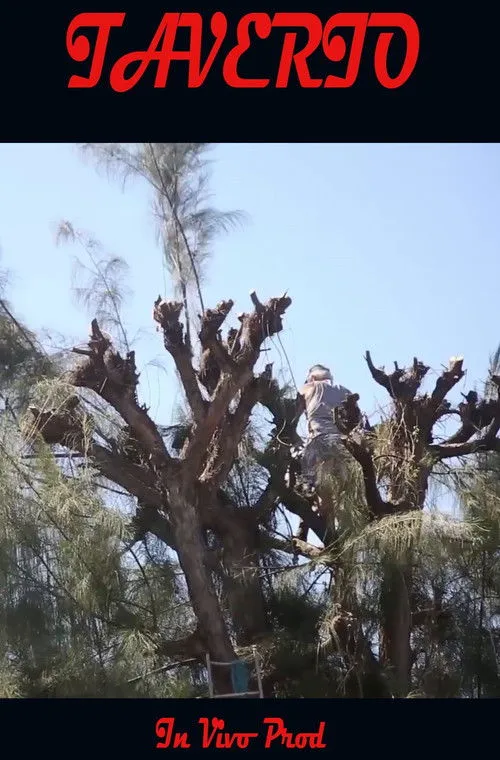 Tapu Bonnet interpreta a Self en Taverio