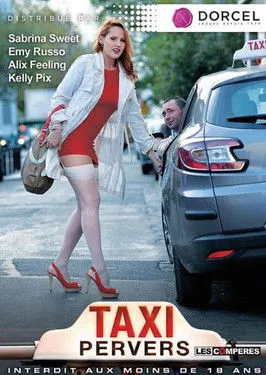 Póster de la película Taxi Pervers