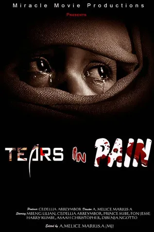 Póster de Tears in Pain