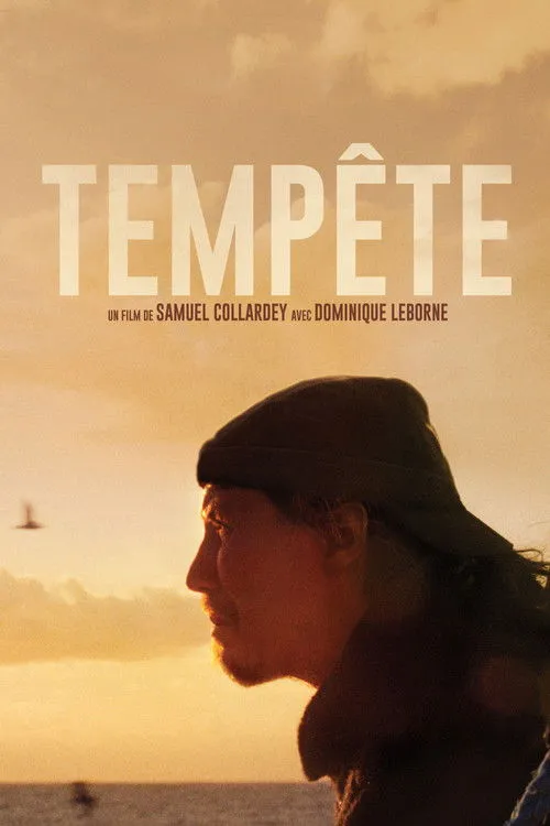 Póster de Tempête