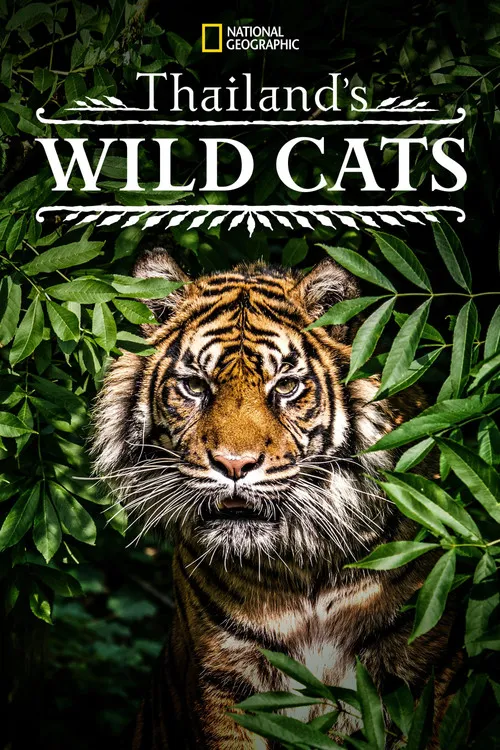 Portada de Thailand's Wild Cats