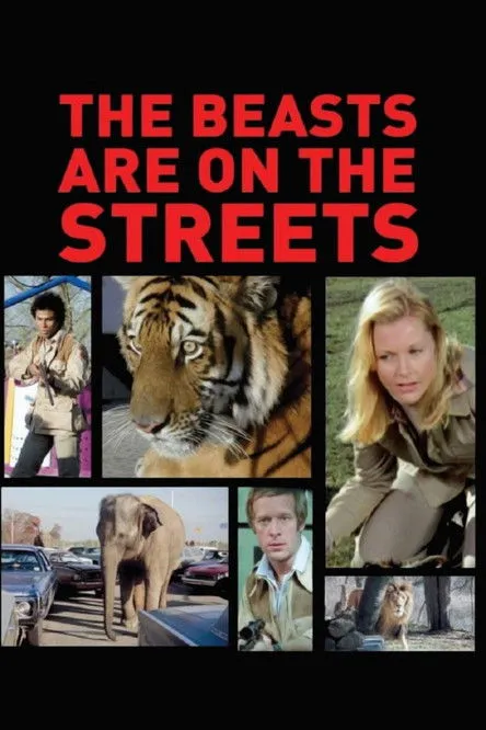 Robert Hibbard interpreta a Officer Bob Ellman en The Beasts Are on the Streets