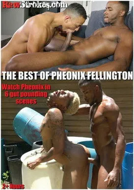 Póster de The Best of Pheonix Fellington