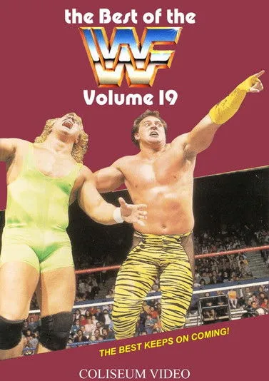 Barry Darsow interpreta a Demolition Smash en The Best of the WWF: volume 19