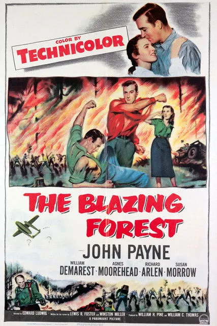Póster de la película The Blazing Forest