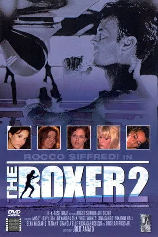 Póster de The Boxer 2