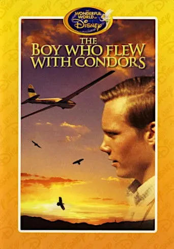 Póster de la película The Boy Who Flew with Condors