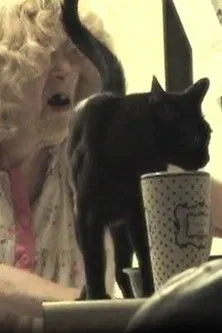 Póster de la película The Butchered Beefcake