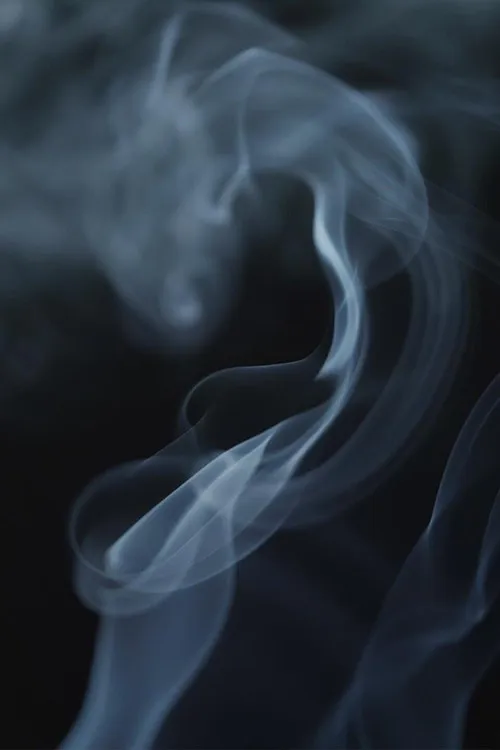 Devin E. Haqq interpreta a Narrator en The Cannabis Question