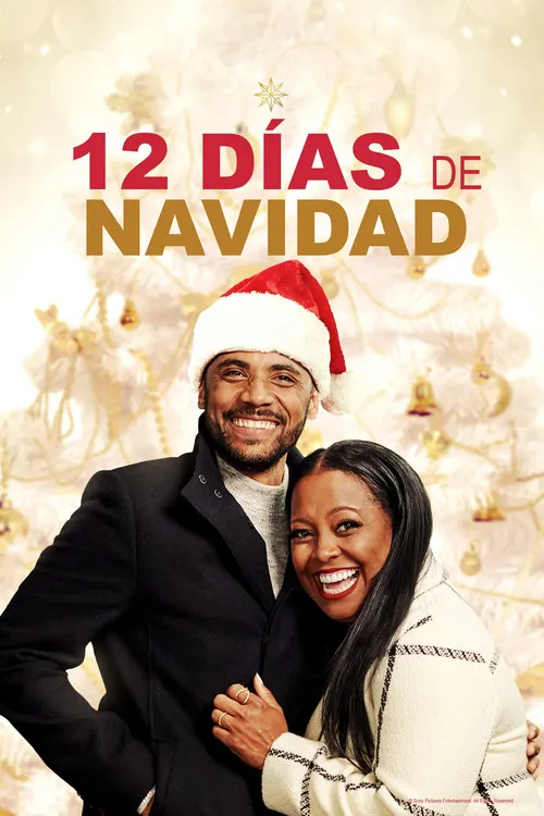 Póster de The Christmas Aunt