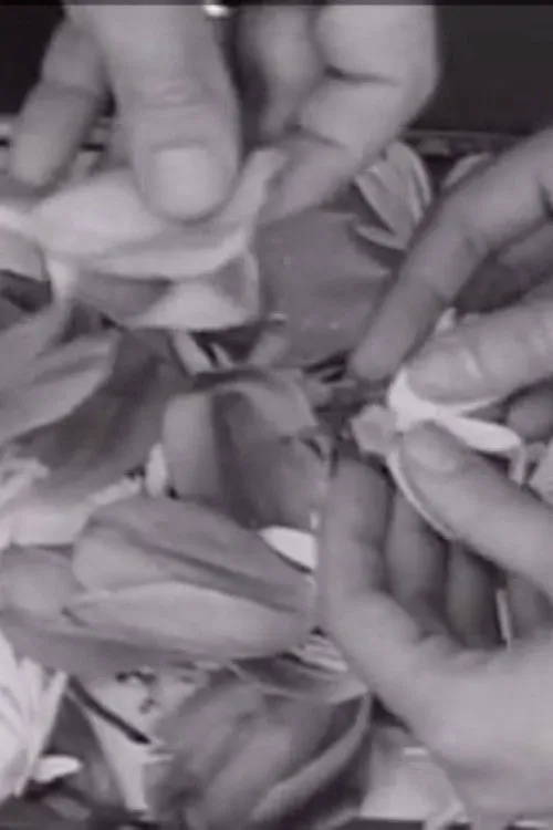 Lynn Shelton interpreta a Self en The Clouds That Touch Us Out of Clear Skies