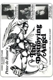 Portada de The Destroying Angel