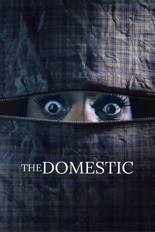 Póster de The Domestic