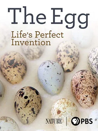 Póster de la película The Egg: Life’s Perfect Invention