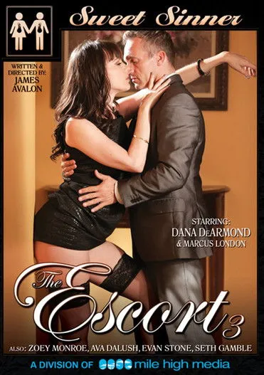 Póster de The Escort 3