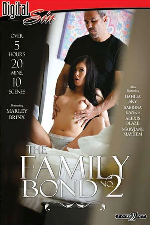 Póster de The Family Bond 2