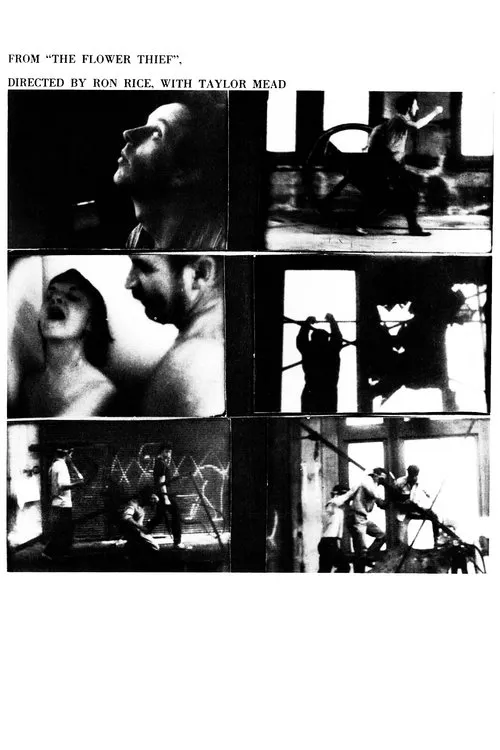 Eric Nord interpreta a en The Flower Thief