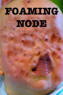 Póster de The Foaming Node