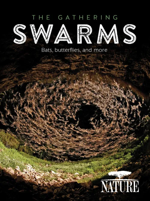 Póster de la película The Gathering Swarms