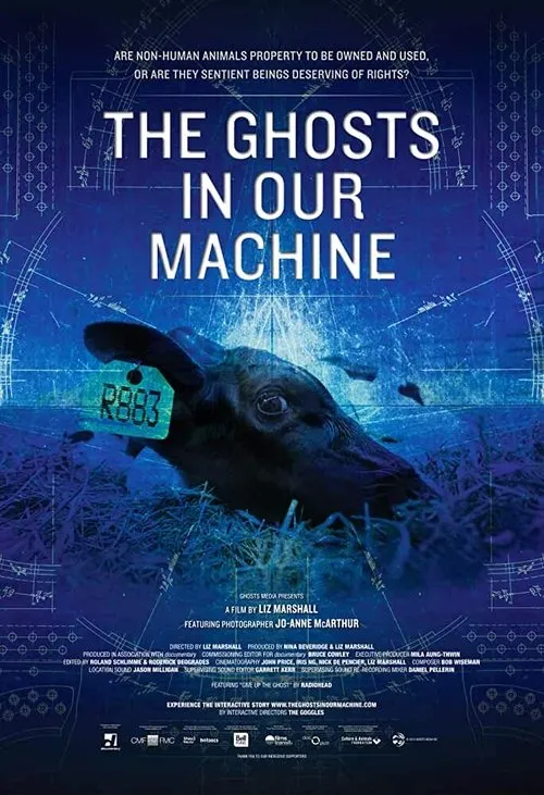 Póster de The Ghosts in Our Machine