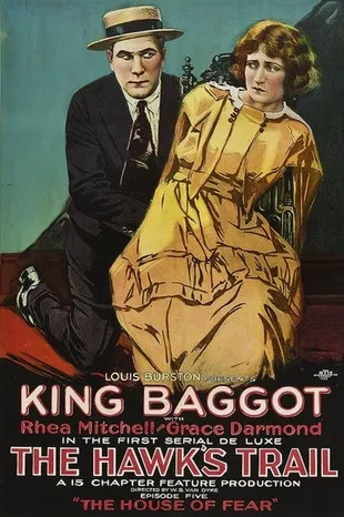 Póster de la película The Hawk's Trail