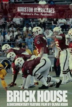 Póster de The Herricanes