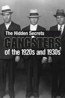 Póster de The Hidden Secrets: Gangsters of the 1920s and 1930s