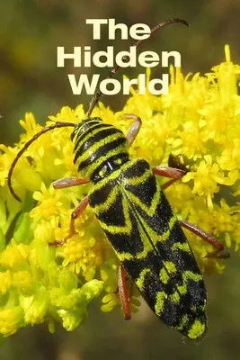 Póster de la película The Hidden World