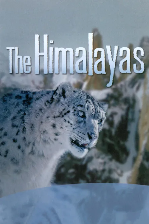 Chris Morgan interpreta a Narrator en The Himalayas