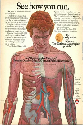 E.G. Marshall interpreta a Narrator en The Incredible Machine