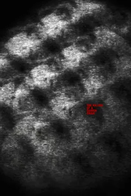 Janus Nabil Bakrawi interpreta a H en The Killing of a Danish Swan