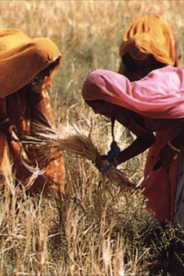 Allan Sharpe interpreta a Crofter en The Legacy of Malthus