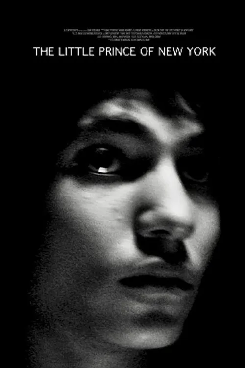 Mohamed Djellouli interpreta a Usama en The Little Prince of New York