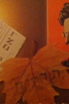 Nodar Dugladze interpreta a Joseph Bosniak en The Night Trotsky Came to Dinner