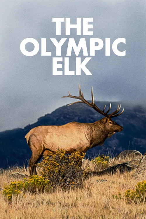 Póster de la película The Olympic Elk