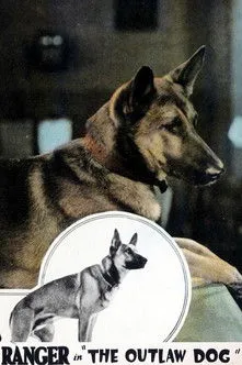 Ranger the Dog interpreta a Ranger en The Outlaw Dog