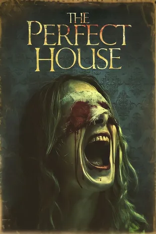 Póster de The Perfect House