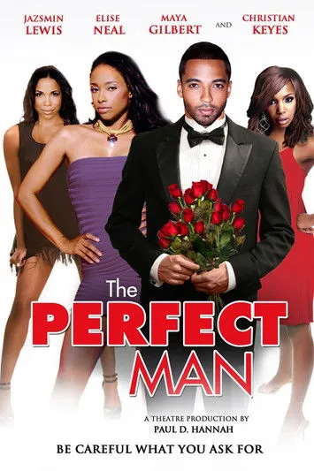 Póster de The Perfect Man