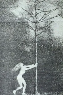 Nina Knight interpreta a en The Phallic Forest