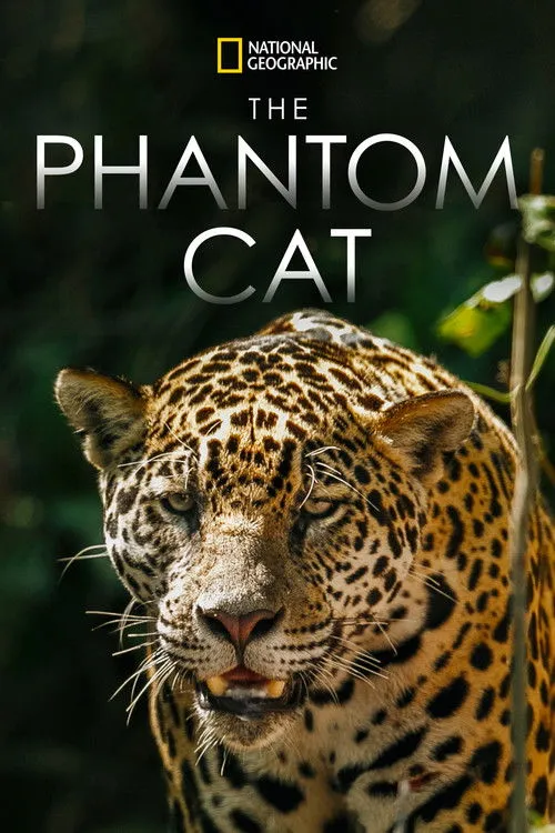 Póster de The Phantom Cat