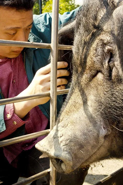 Yueh-Hsin Chu interpreta a Storyteller en The Pig