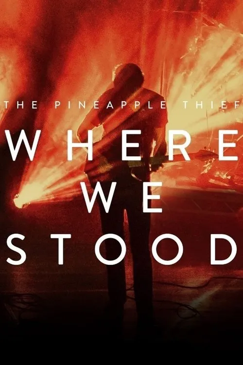 Póster de The Pineapple Thief: Where We Stood