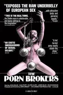 Póster de la película The Porn Brokers