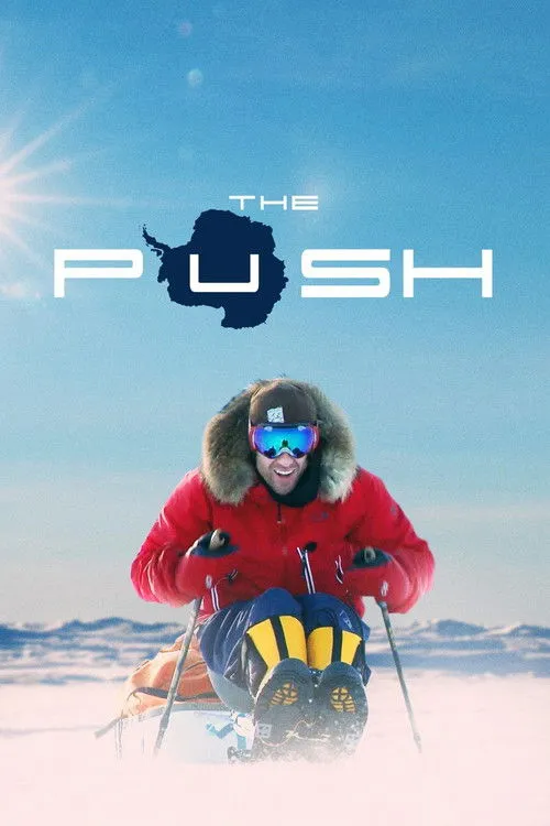 Póster de The Push