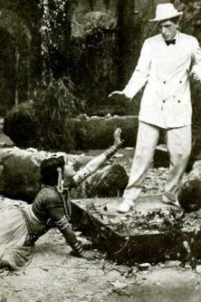 Póster de la película The Reincarnation of Karma